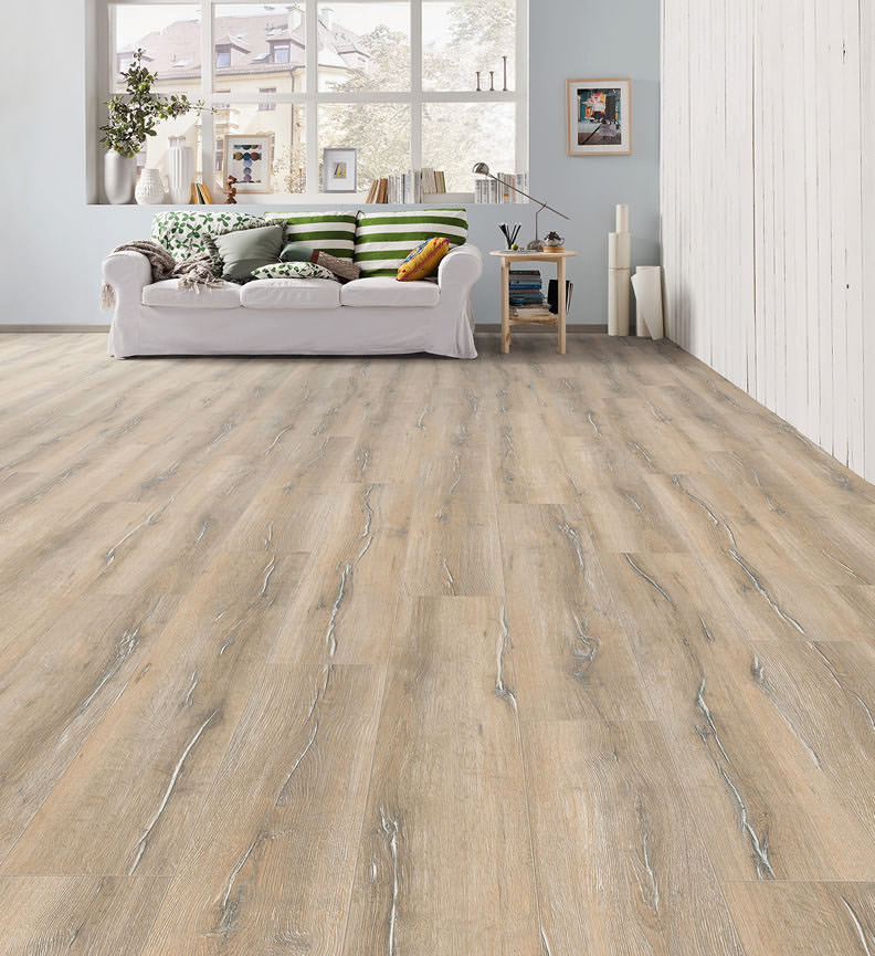 Laminat Campus 4V Eiche duna gekalkt 532059 QV