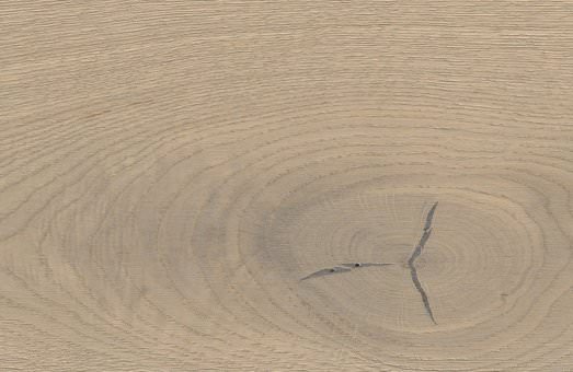  haro professional parkett stab landhausdiele maxim 2v eiche sandgrau sauvage strukturiert pl